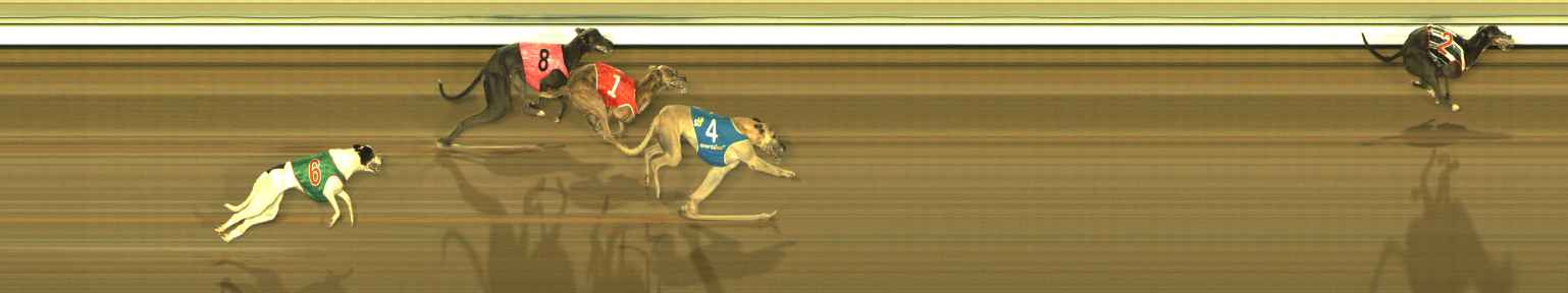 Race result finish photo